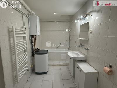 Pronájem bytu 1+1 Karlovy Vary, Kolmá č. 6