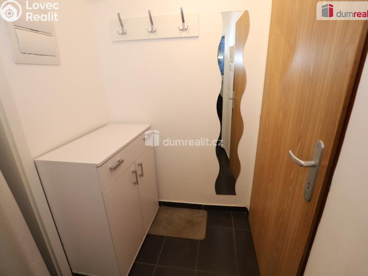 Pronájem bytu 2+1 Cheb, Vrchlického č. 20