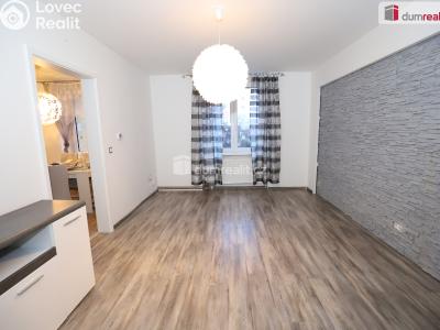 Rent apartment 2+1 Cheb, Vrchlického č. 6