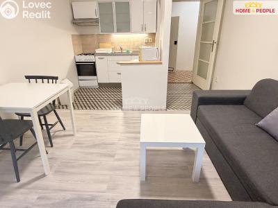 Аренда квартиры 2+KK Praha 3, Biskupcova č. 3