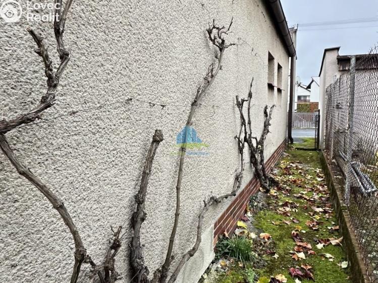 Prodej rodinného domu Františkovy Lázně, Jiřího Wolkra 207/13 č. 7