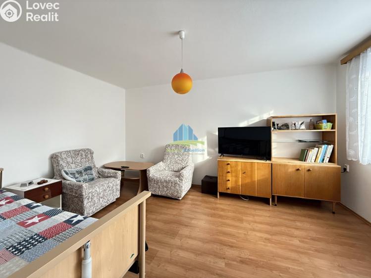 Prodej rodinného domu Františkovy Lázně, Jiřího Wolkra 207/13 č. 9