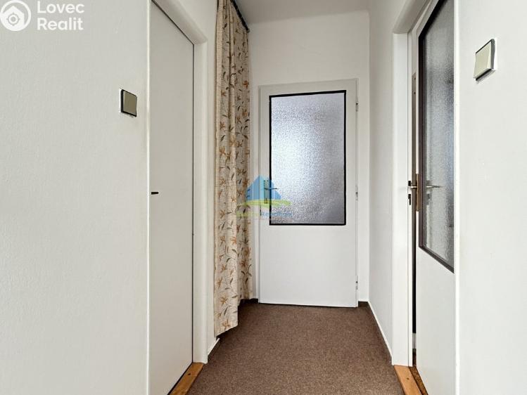 Prodej rodinného domu Františkovy Lázně, Jiřího Wolkra 207/13 č. 14