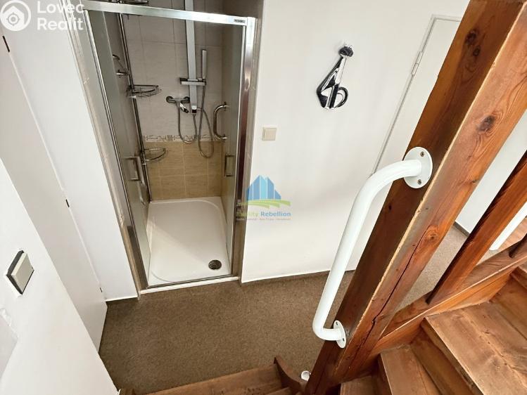 Prodej rodinného domu Františkovy Lázně, Jiřího Wolkra 207/13 č. 25