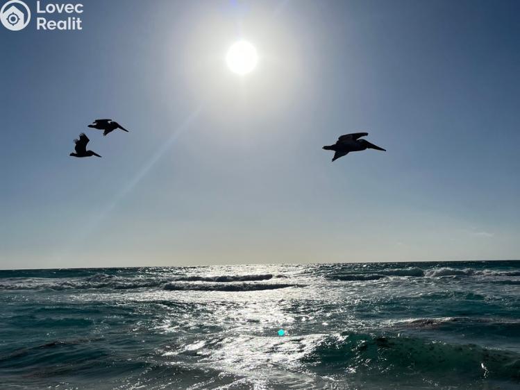 Продаж квартири 2+KK Alba Adriatica,Itálie č. 19