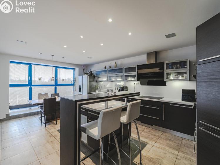 Sale atypical apartment Ostrava, U Haldy 1616/68 č. 1