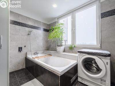 Продажа нестандартной квартиры Ostrava, U Haldy č. 4