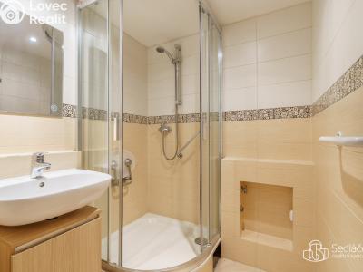 Sale apartment 3+1 Sokolov, Závodu míru č. 6