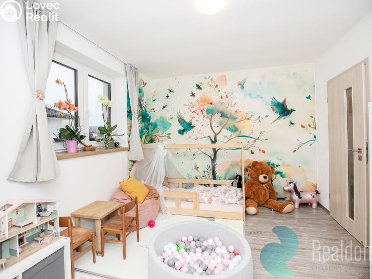 Sale family house Vitín č. 13