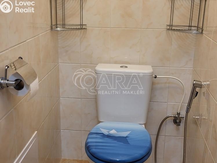 Pronájem bytu 2+KK Milovice, Kaštanová 679 č. 8