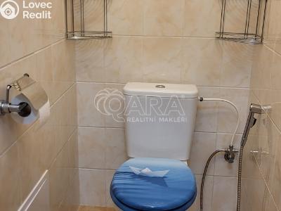 Pronájem bytu 2+KK Milovice, Kaštanová 679 č. 8