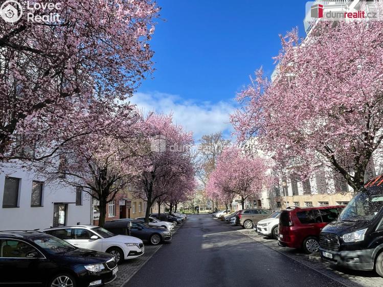 Pronájem bytu 1+KK Zlín, Sadová č. 7