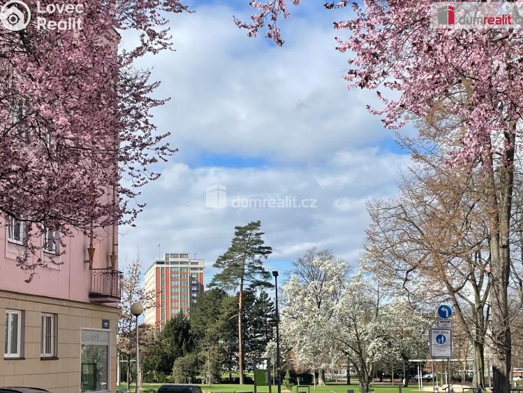 Pronájem bytu 1+KK Zlín, Sadová č. 8