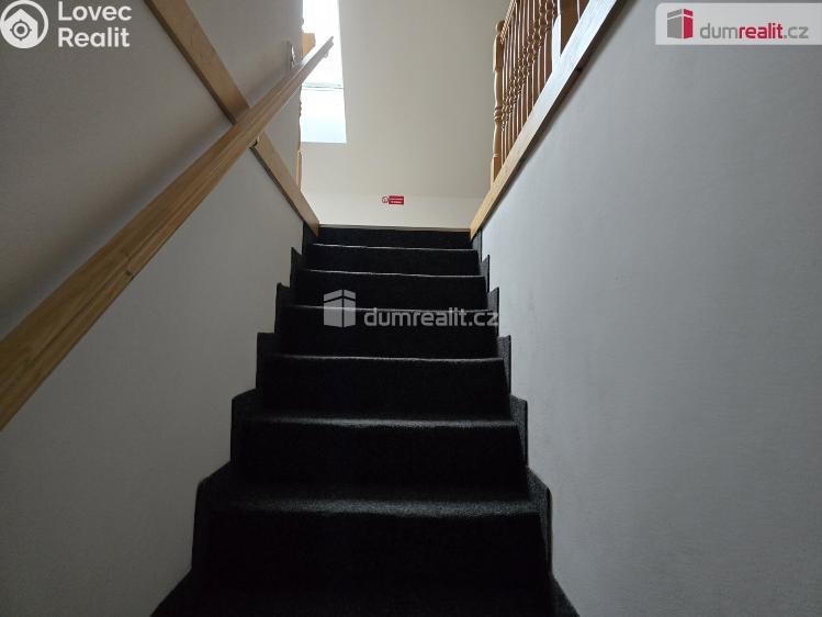 Продаж сімейного будинку Dolní Bousov č. 15