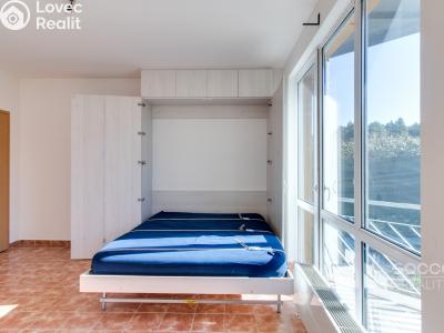 Pronájem bytu 1+1 Praha, Dandova č. 6