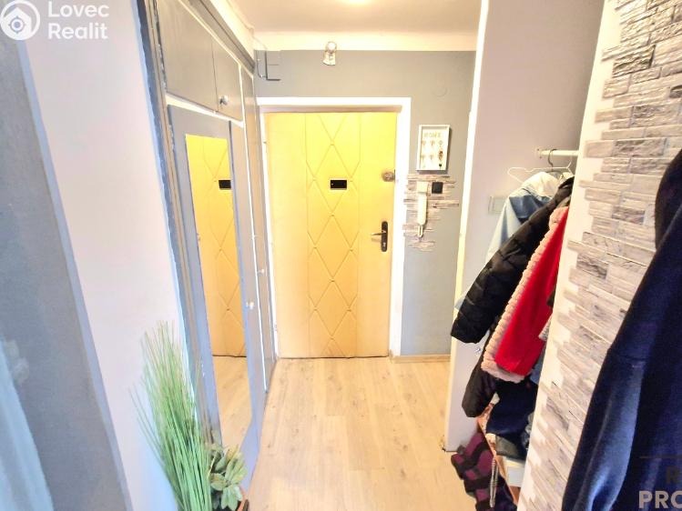 Prodej bytu 1+1 Ostrava, Edisonova 630/67 č. 6