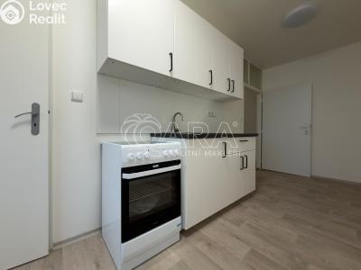 Pronájem bytu 3+1 Brno, Vídeňská č. 1