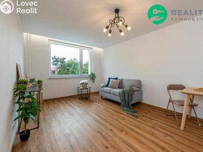 Rent apartment 2+1 Ústí nad Labem, Dukelských hrdinů č. 2