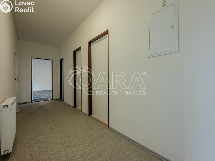 Rent office space Vestec, Vestecká 541 č. 11