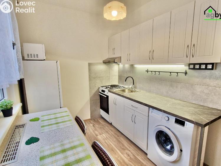 Pronájem bytu 2+1 Praha č. 2