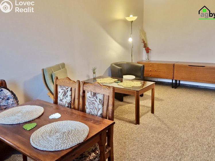 Pronájem bytu 2+1 Praha č. 7