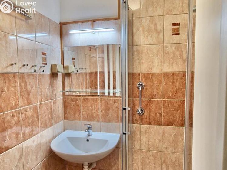 Pronájem bytu 2+1 Praha č. 10