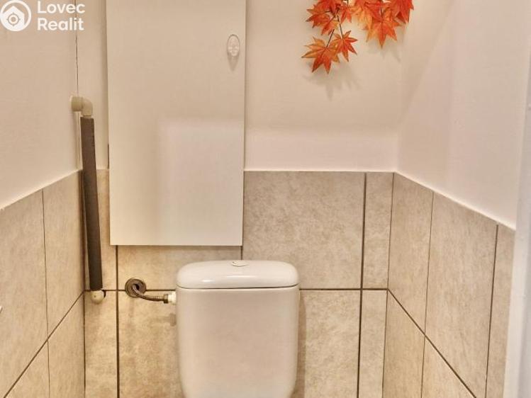 Pronájem bytu 2+1 Praha č. 12