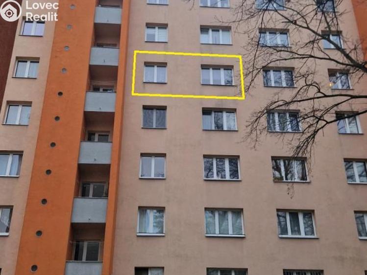 Pronájem bytu 2+1 Praha č. 18