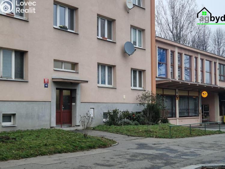 Pronájem bytu 2+1 Praha č. 19