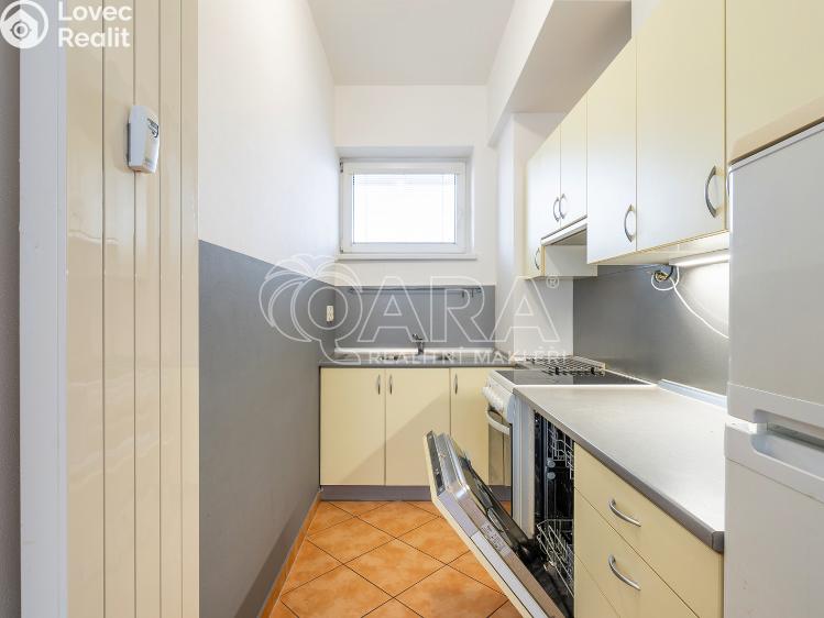 Оренда квартири 1+KK Brno, Křídlovická 981/23 č. 2