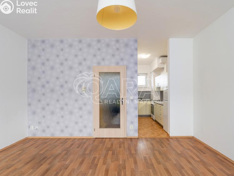 Оренда квартири 1+KK Brno, Křídlovická 981/23 č. 4