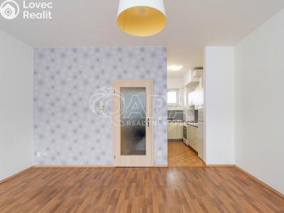 Pronájem bytu 1+KK Brno, Křídlovická č. 4