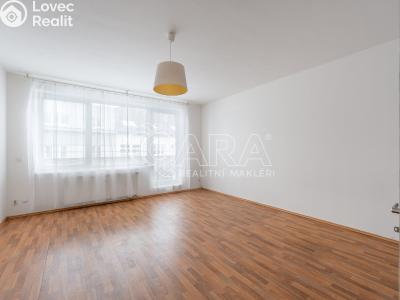 Pronájem bytu 1+KK Brno, Křídlovická č. 6