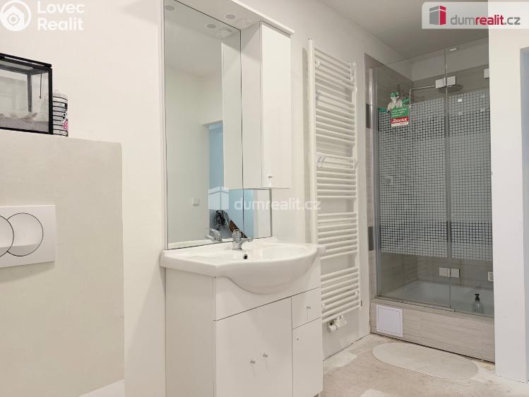 Продажа семейного дома Drahobudice č. 10