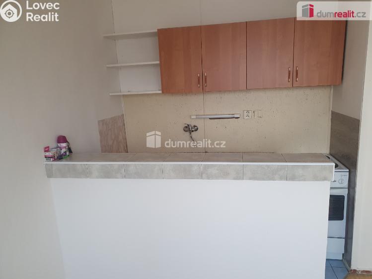 Pronájem bytu 1+KK Děčín, Kamenická č. 3