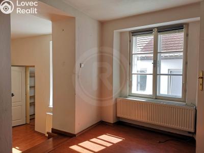 Rent apartment 2+1 České Budějovice, Karla IV. č. 4