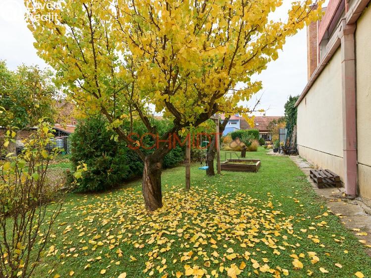 Продажа семейного дома Hustopeče, Šafaříkova č. 36