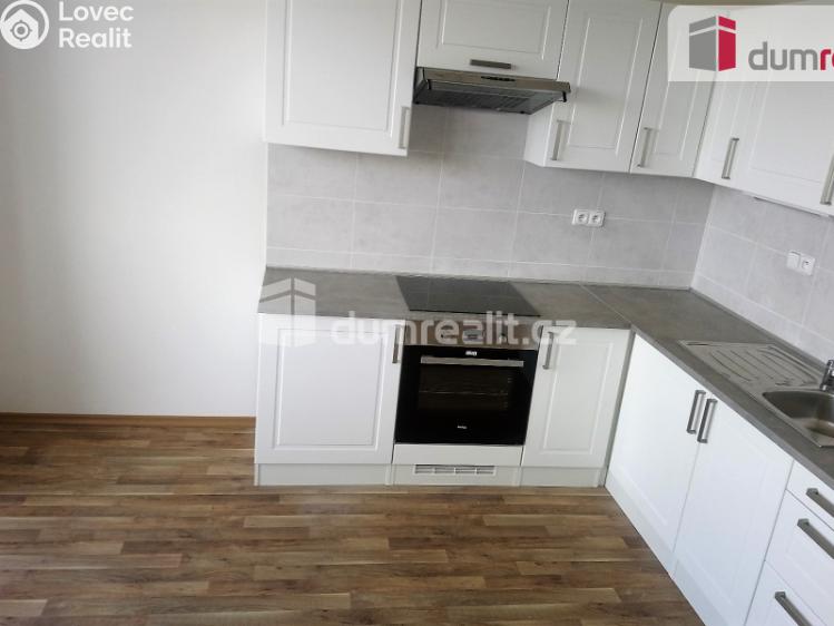 Pronájem bytu 2+1 Benátky nad Jizerou, Pražská č. 2