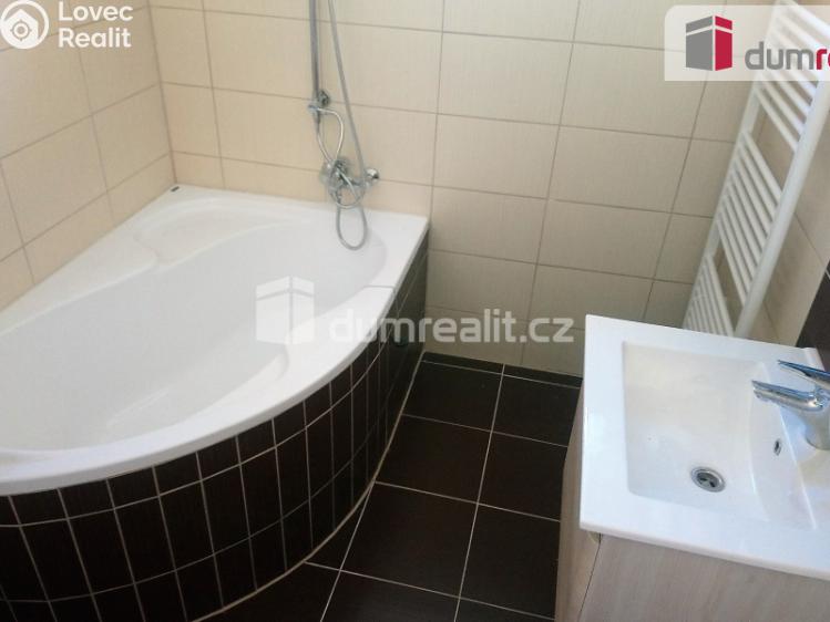 Pronájem bytu 2+1 Benátky nad Jizerou, Pražská č. 8