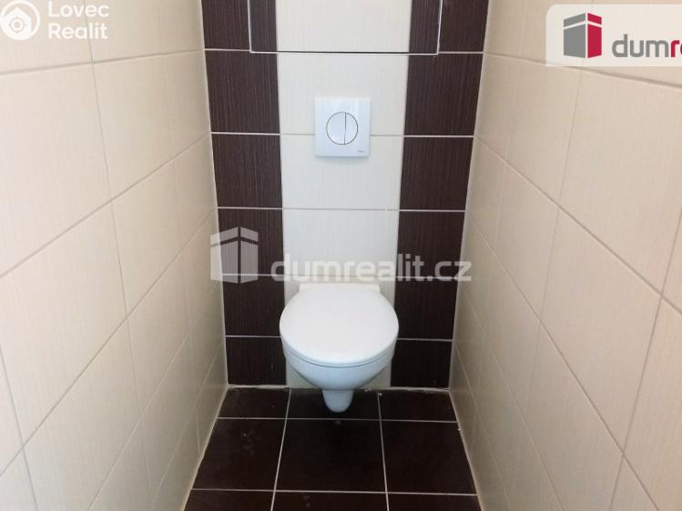 Pronájem bytu 2+1 Benátky nad Jizerou, Pražská č. 9