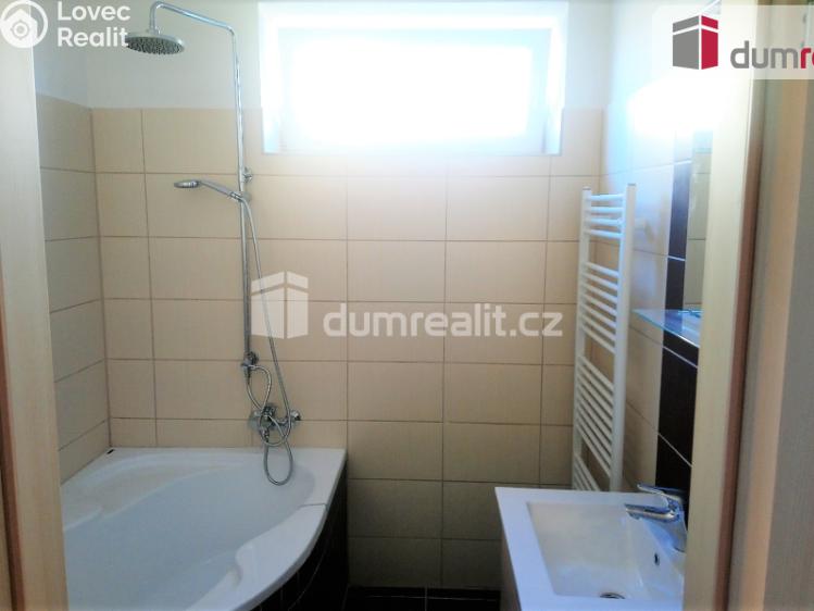 Pronájem bytu 2+1 Benátky nad Jizerou, Pražská č. 10