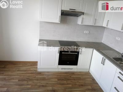 Pronájem bytu 2+1 Benátky nad Jizerou, Pražská č. 2