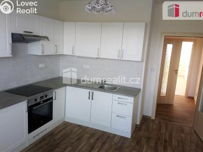 Pronájem bytu 2+1 Benátky nad Jizerou, Pražská č. 4