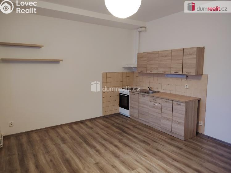 Pronájem bytu 1+KK Děčín, Lovecká č. 2