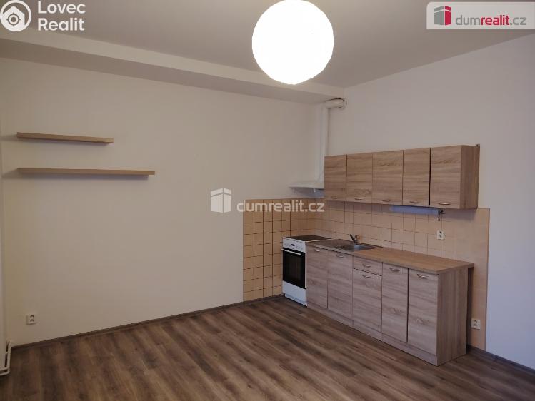 Pronájem bytu 1+KK Děčín, Lovecká č. 3