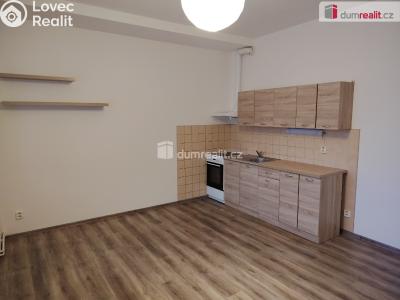 Pronájem bytu 1+KK Děčín, Lovecká č. 2