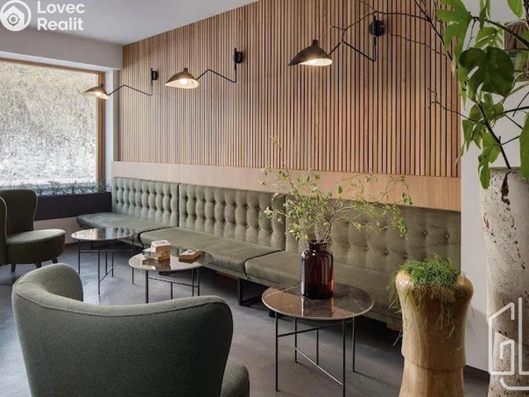 Pronájem bytu 1+KK Praha, Holečkova č. 9