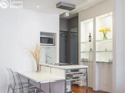 Pronájem bytu 1+KK Praha, Holečkova č. 6