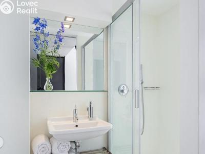 Pronájem bytu 1+KK Praha, Holečkova č. 2