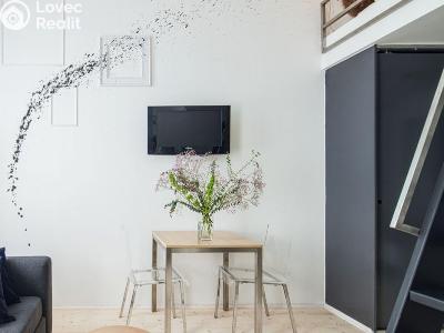 Pronájem bytu 1+KK Praha, Holečkova č. 4